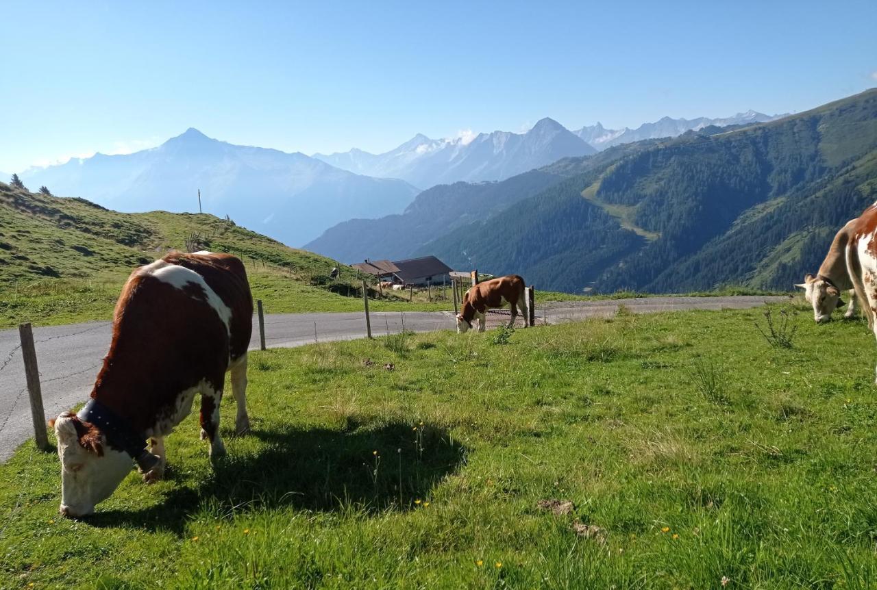 Apart Anna Mayrhofen Exteriör bild