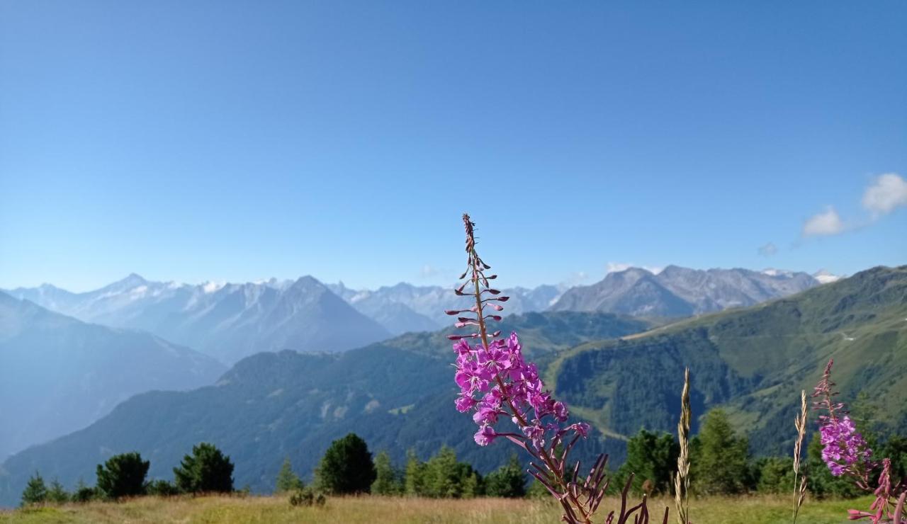 Apart Anna Mayrhofen Exteriör bild
